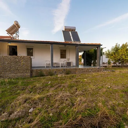 Hara Kiotari * Gennadi